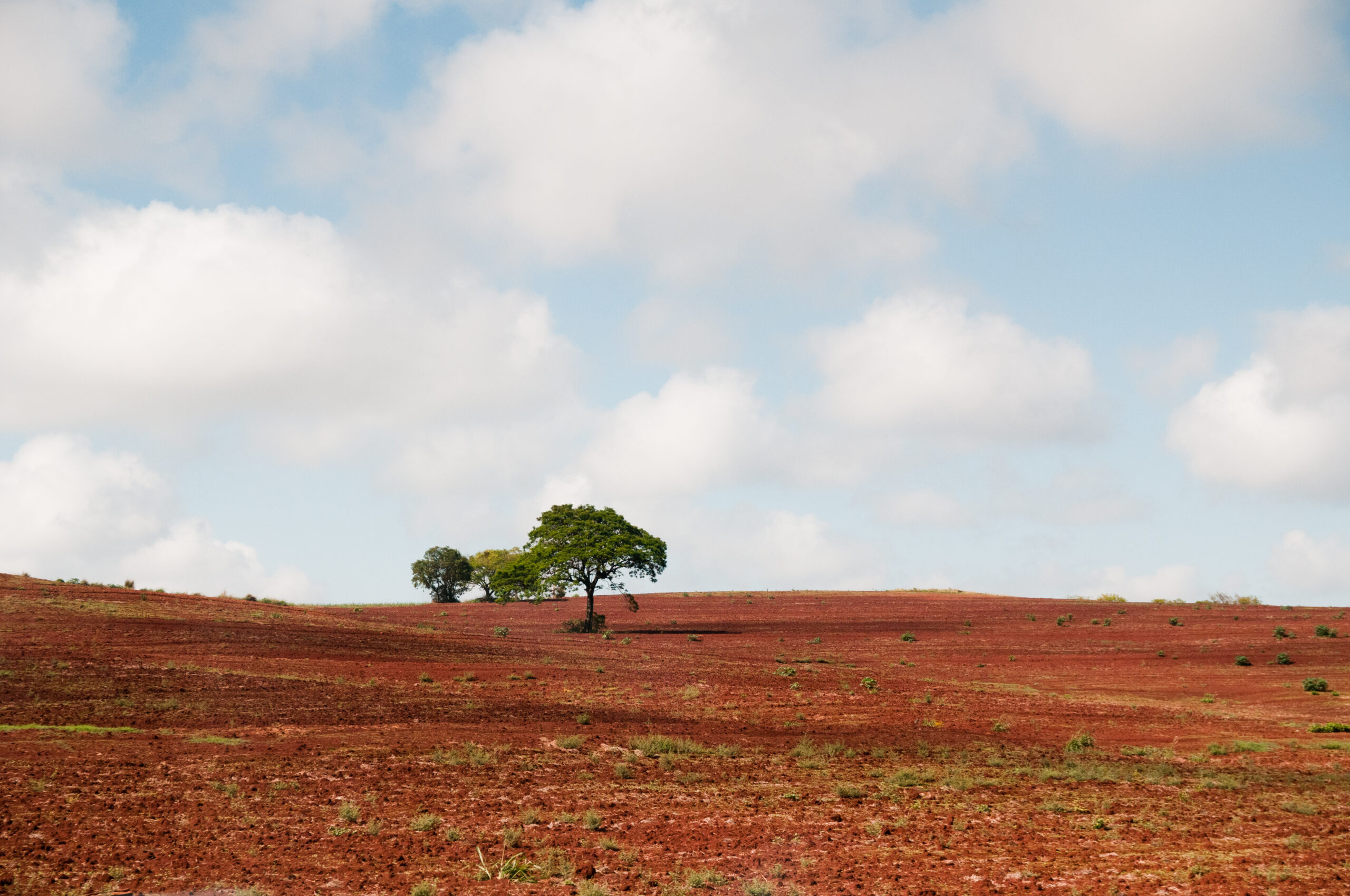 MaringÃ¡ Brasile